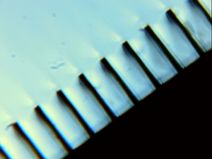 10xFilm10x_1b